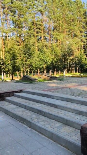 Памятник 201 Латышской стрелковой дивизии под Москвой. #Память #Латыши смотреть онлайн