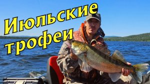 Аргази. Июльские трофеи и море грязи.