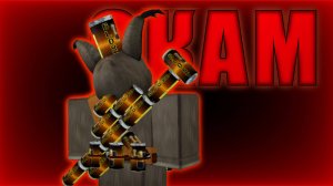 КАК МЕНЯ ЗАСКАМИЛИ!