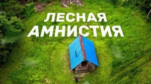 Лесная амнистия. Что делать если участок оказался в лесном фонде？
