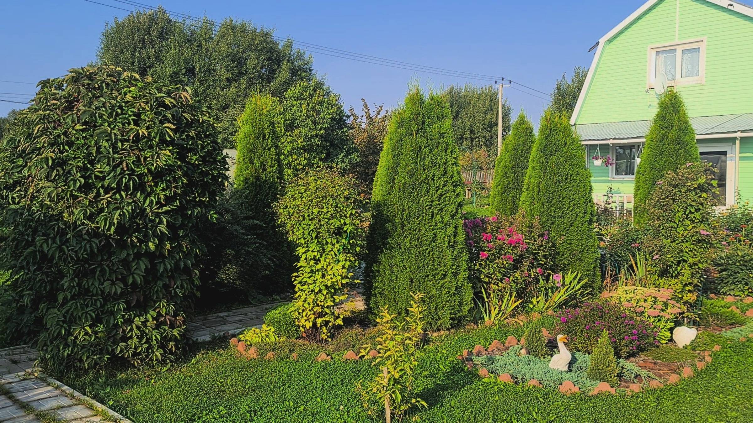 Дача! Обзор цветов на 05.08.25г. Убрала чеснок. смотреть онлайн