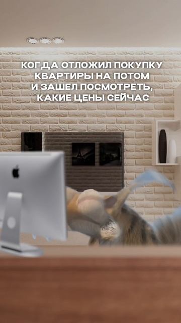 В ЖК Новое Голубево квартиры по приятной цене! #калининград #новостройки #мем #домпродажа #квартиры