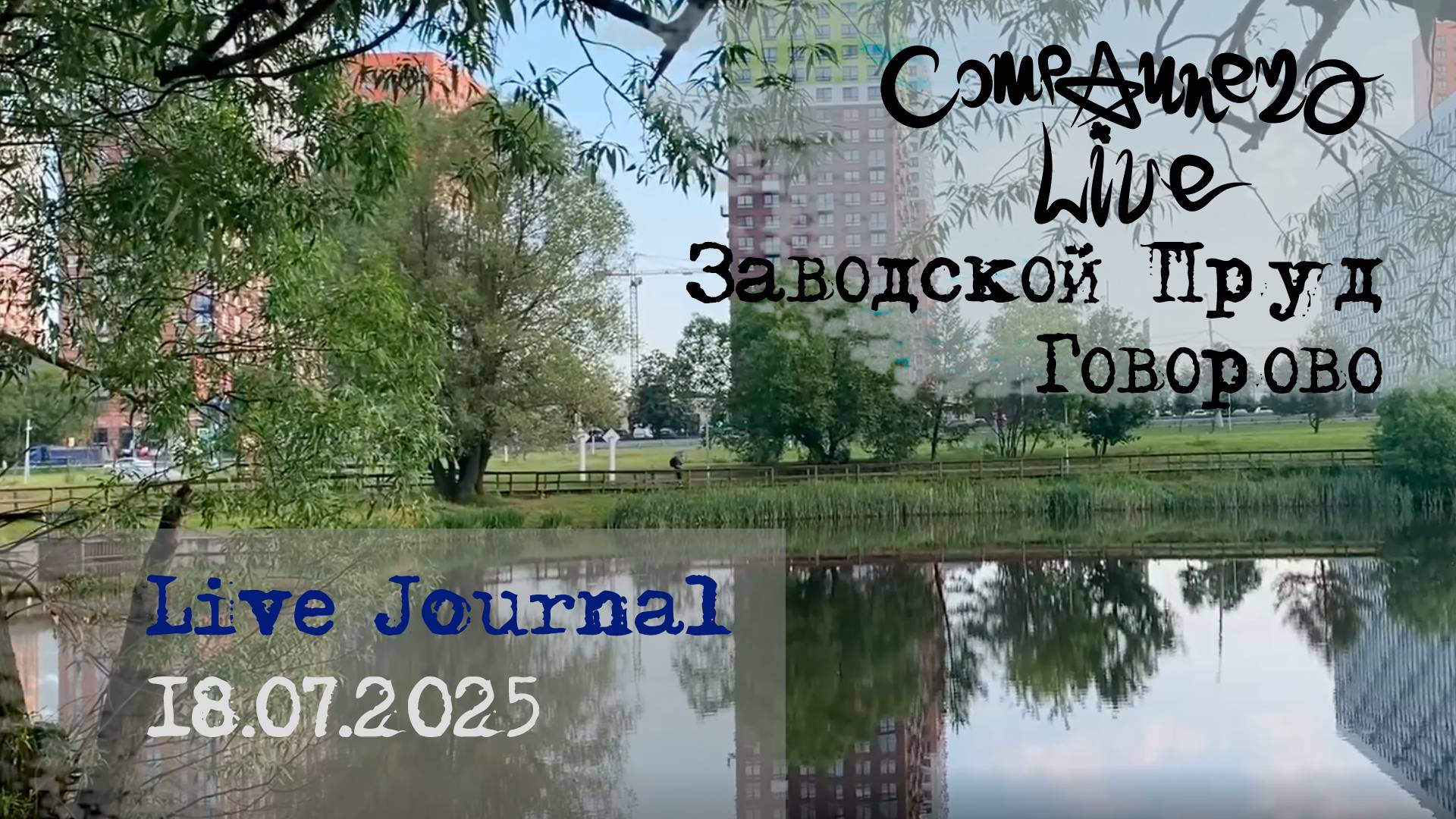 Live Journal - Солнцевский Заводской пруд (Москва, Говорово. 18.07.2025)
