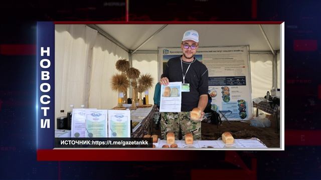 КОРОТКИЕ НОВОСТИ 2025.08.13 смотреть онлайн