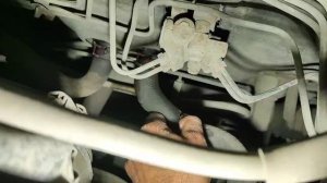 Задубели шланги у Мазды Демио, потек антифриз