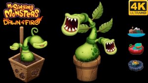 Брюшок - Юный/Взрослый Все Песни и Анимации (My Singing Monsters Dawn Of Fire)