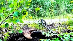 Коп металлолома, поиск вдоль старой дороги