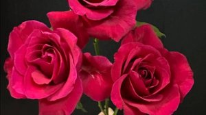 Michael - Ангел Хранитель из серии Небеса Дзунко Кавамото