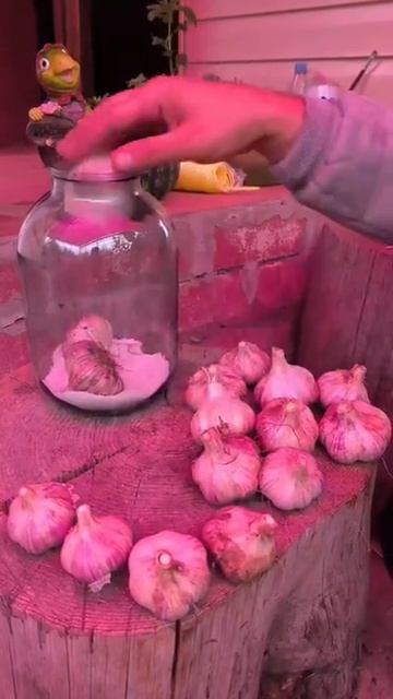 Хранение чеснока смотреть онлайн