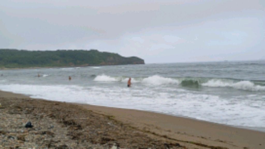 Чайки у моря,релакс,шум волны