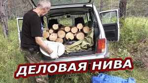 Ниву Использую по Полной. Чистка Леса и Заготовка Дров