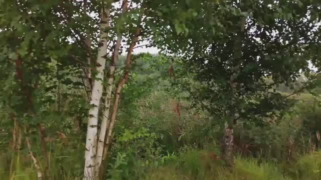 Две книги 📚Мы можем всё, главное идти маленькими шагами 😎 смотреть онлайн