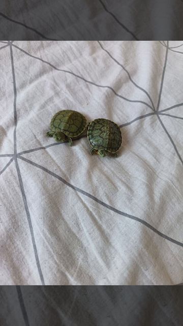 Навая заставка