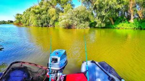 ЭТИ ЯМЫ ПОРАЗИЛИ МЕНЯ!!! САЗАН, СУДАК, КАРАСЬ....Поймал все что ВОЗМОЖНО!