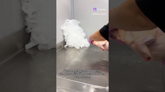 Как проходит забой. Видео от нашего Заказчика смотреть онлайн