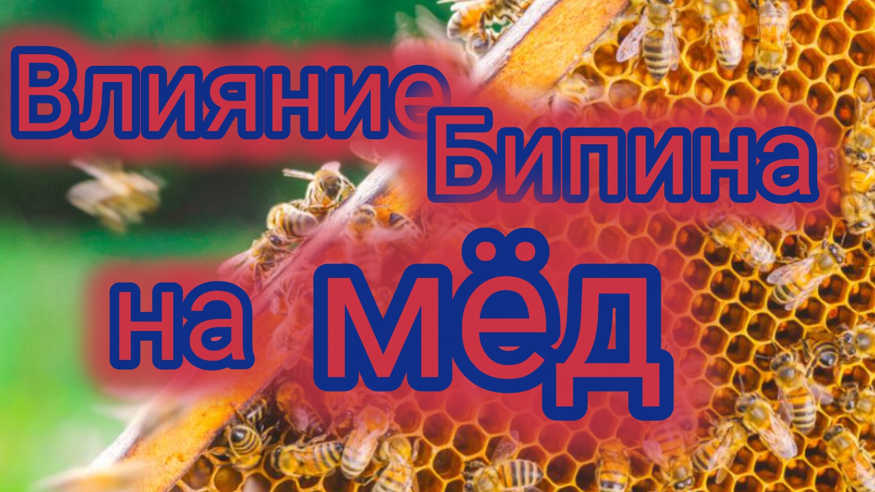 Влияние Бипина на мёд смотреть онлайн