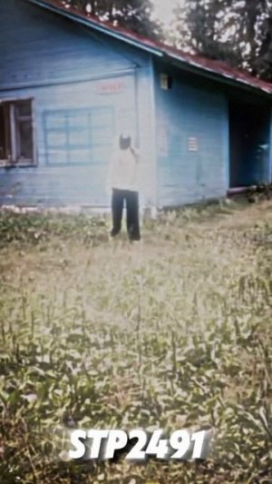 Не успел спрятаться... 😶🌫️