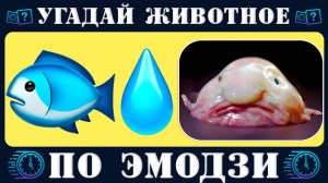Угадай морское животное по эмодзи за 10 секунд. Новый quiz от Время викторины