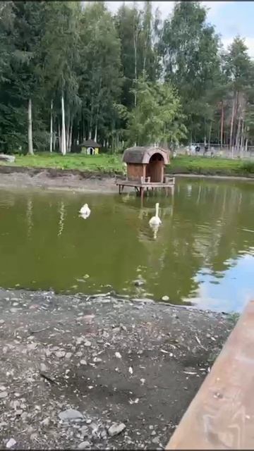 Скоро коллаба