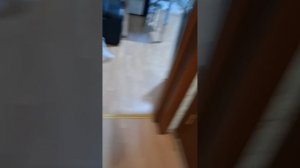 1000010520.mp4