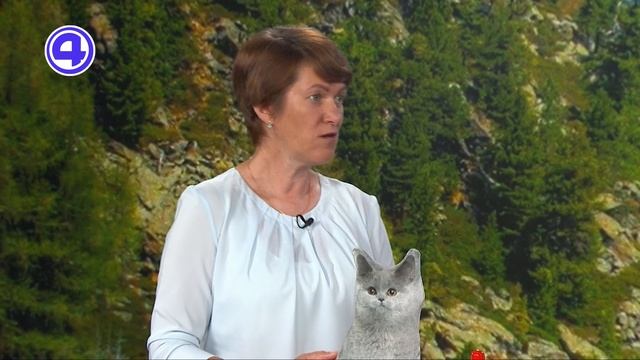 Утренний экспресс от 13.08.2025 смотреть онлайн