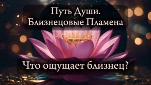 Близнецовые пламена