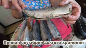 Скумбрия пряного посола с укропом долгого хранения
