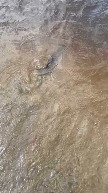 МЫ ЕДЕМ В КРЫМ