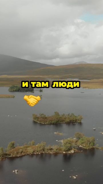 Как выгодно использовать чаты и консультации для выбора каналов