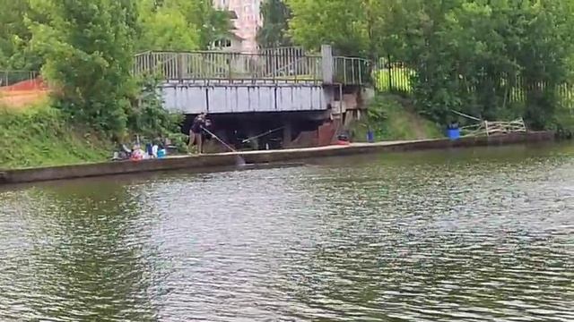 Серый мост смотреть онлайн