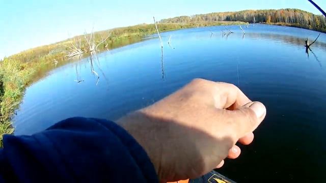 Здесь рыбы нет Кто это сказал Хозяин водоема смотреть онлайн