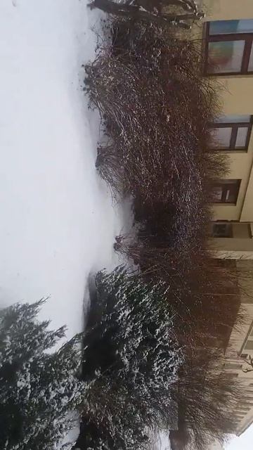 Куропатки смотреть онлайн