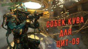 Собек Кува для Цит-09 Варфрейм.
