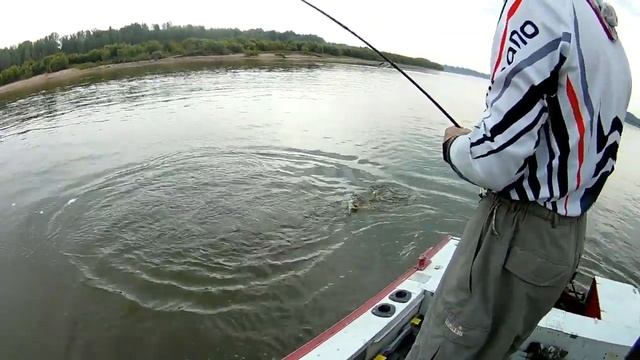 Щука сошла с ума.Клевала и Клевала. смотреть онлайн