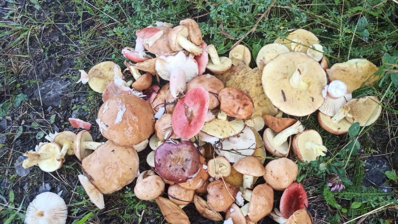 Это рыбалка на Южном Урале