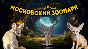 Фенек. Миниатюрная лисичка с длинными ушами. Пустынная лиса. Московский зоопарк. Лето 2025