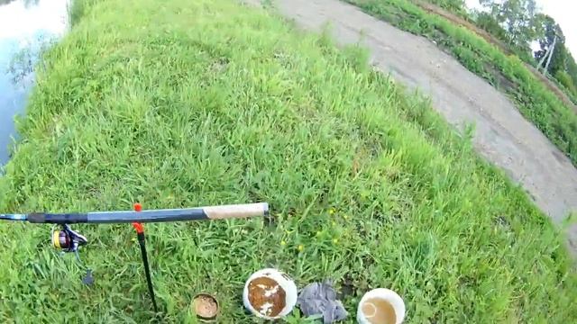 Карп сегодня в ударе клюет лучше карася смотреть онлайн