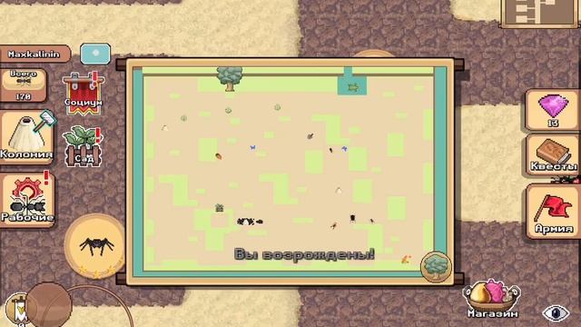 Что делаю в в Pocket Ants пока я не снимаю видео и подготавливаю к видео