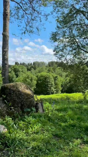 Секретный гид гедониста