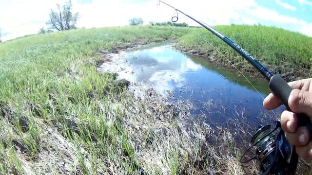 В этом ручейке Переплюнька прилично щуки смотреть онлайн