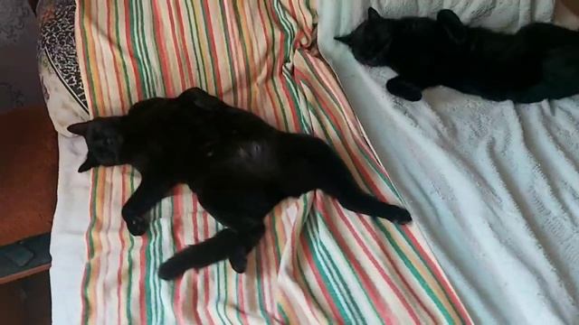 Вроде и не много выпили !!!!!!!!!!!!