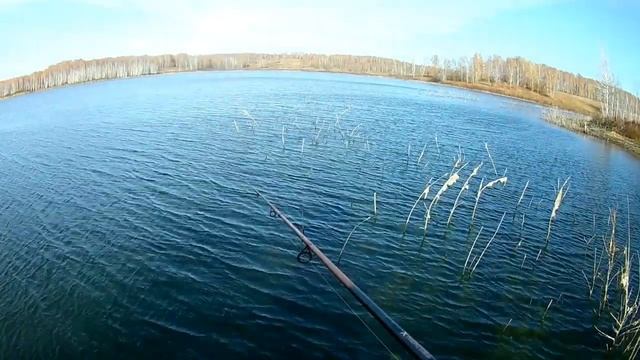 Ищем рыбу эхолотом.А когда находим.........? смотреть онлайн