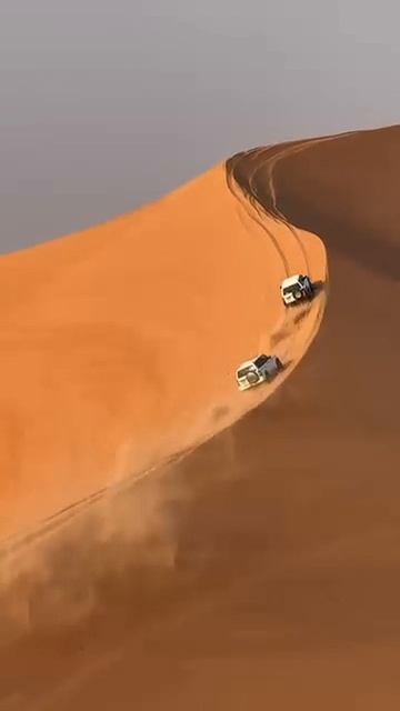 Desert Drive смотреть онлайн