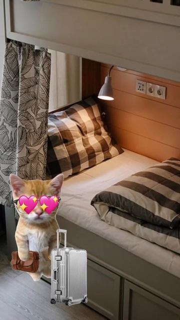 КИСА устроилась ВАХТОЙ на стеклозавод, Ставропольский край