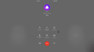 КАПЕЦ!! МНЕ ЗВОНИТ АЛИСА!!!!!!!!