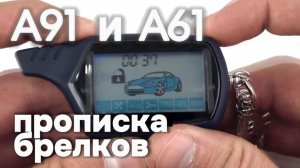 Прописка брелков starline A91 A61 или как прописать пульт старлайн А91 и А61