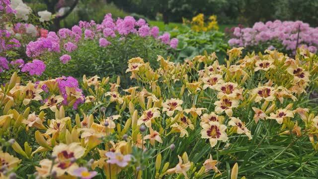 Август в саду @Svetik_Chudnova смотреть онлайн