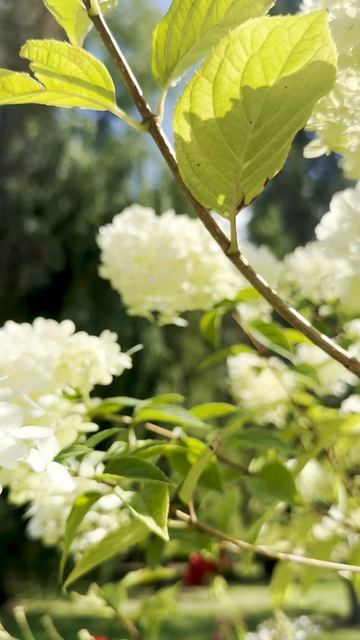 Служить тьме или нести свет смотреть онлайн