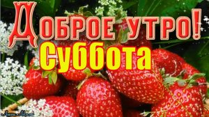 ДОБРОЕ УТРО СУББОТЫ– СЕГОДНЯ ВЫХОДНОЙ!