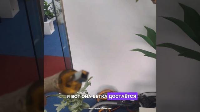 Привезём под заказ🌳

Олива 240 см. 
(имитация живого дерева)